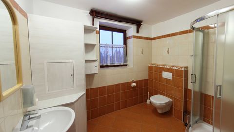 Apartament 1-osobowy z prysznicem z aneksem kuchennym (możliwa dostawka)