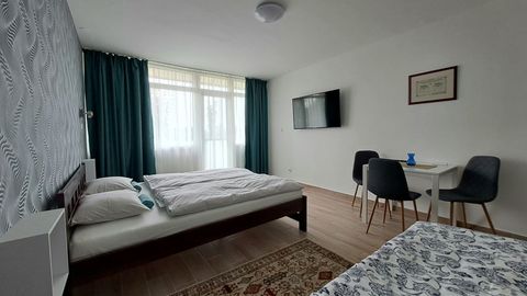 Apartament 3-osobowy Deluxe z 1 pomieszczeniem sypialnianym