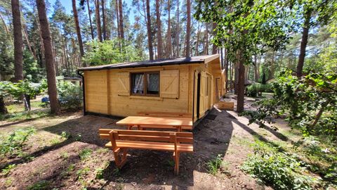 Domek drewniany 6-osobowy Przyjazny podróżom rodzinnym z widokiem na las