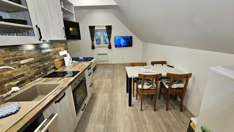 Apartament 3-osobowy z aneksem kuchennym z własną kuchnią