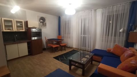 Apartament 2-osobowy na piętrze Economy z 1 pomieszczeniem sypialnianym (możliwa dostawka)