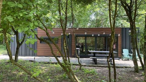 Domek całoroczny 4-osobowy cały dom z widokiem na las
