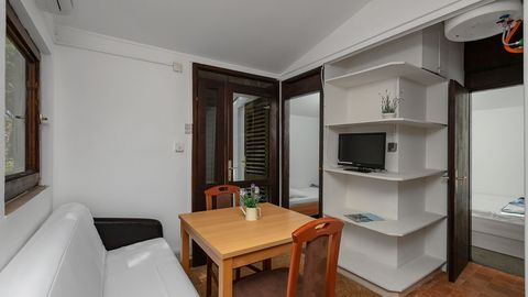 Apartament 2-osobowy Standard z widokiem na park z 1 pomieszczeniem sypialnianym (możliwa dostawka)