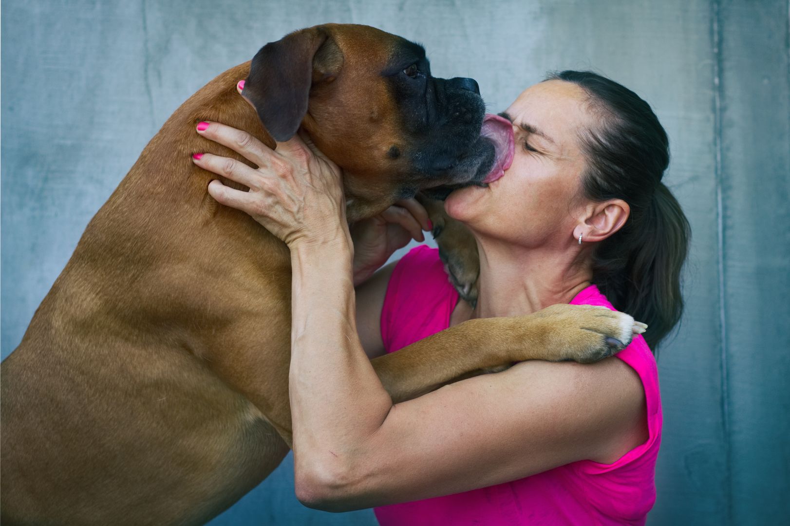 decoding-dog-licks-adoration-hygiene-or-a-cry-for-help