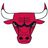 Chicago Bulls