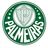 Palmeiras Sao Paulo