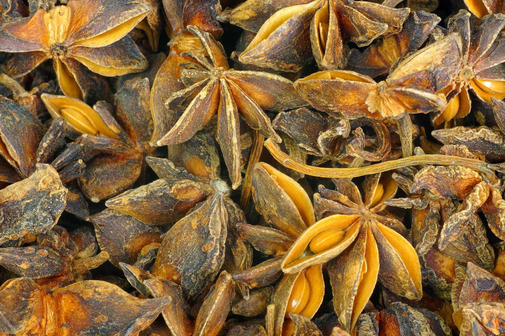 Anise: The Spice That Transforms Your Holiday Recipes