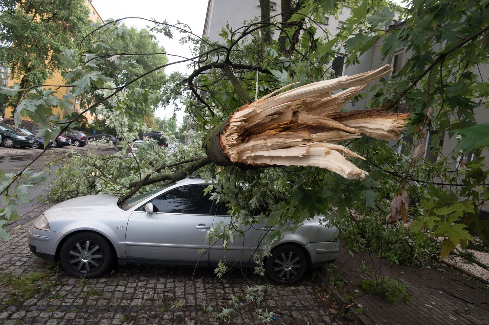 Odszkodowanie Za Straty Wyrządzone Przez Burze I Nawałnice. Czy Polisa ...