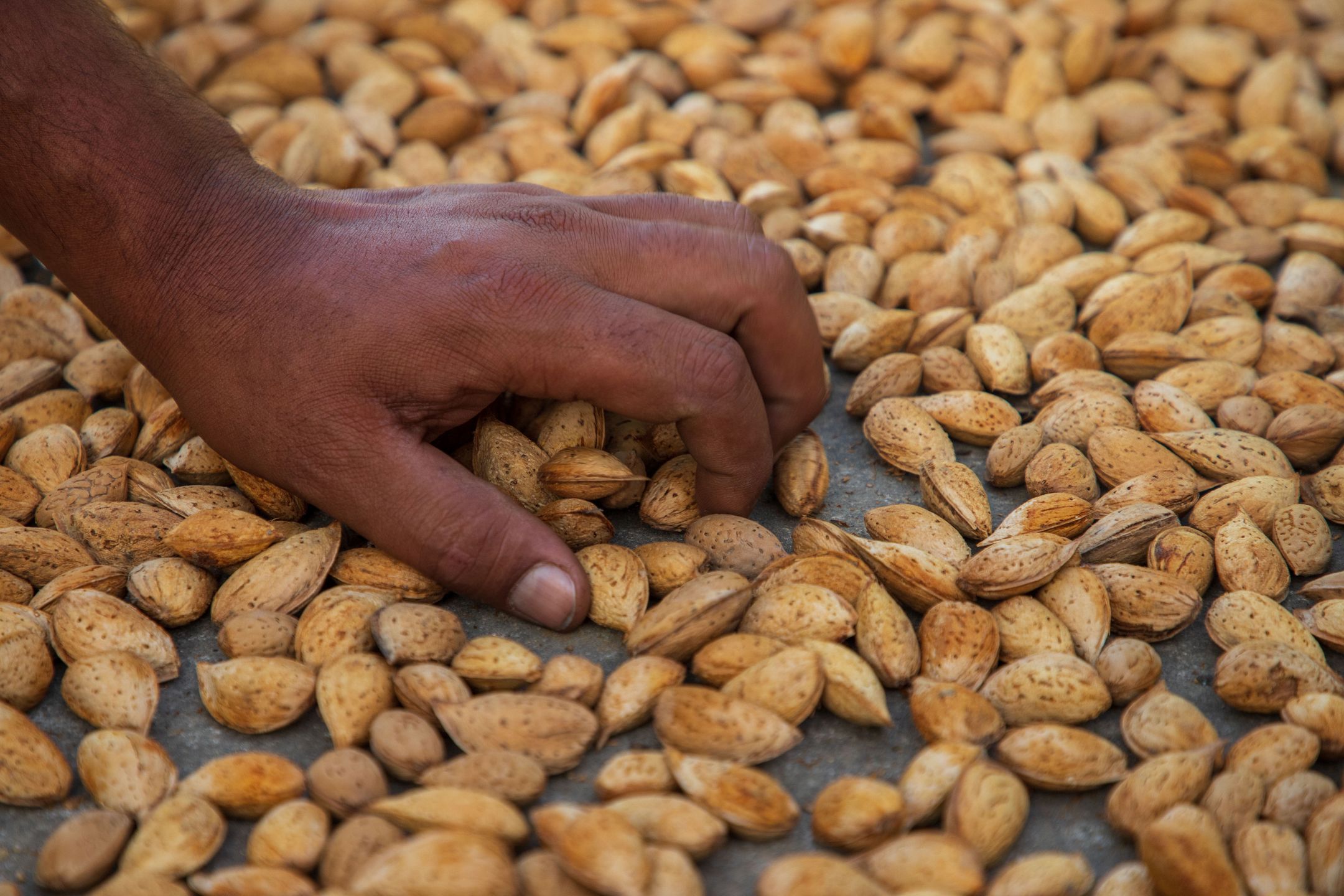 Almonds vs fries surprising study reveals weight impact of these high