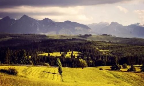 Pokoje Gościnne pod Giewontem Willa Anna /Kościelisko  Kościelisko