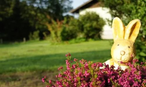 Agroturystyka Smrek Sokolec