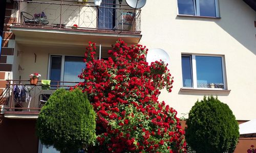 Pokoje Gościnne U BASI Sztutowo