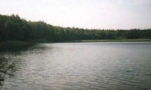 DOMKI POKOJE DO WYNAJĘCIA/ Jerutki