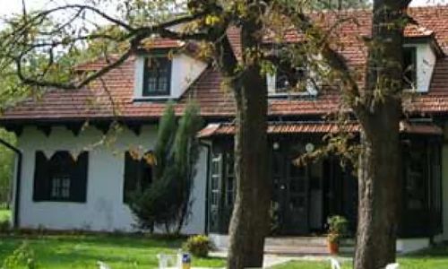 DWÓR- WOLA SĘKOWA Nowotaniec