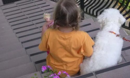 Pensjonat Amadeusz Ustronie Morskie