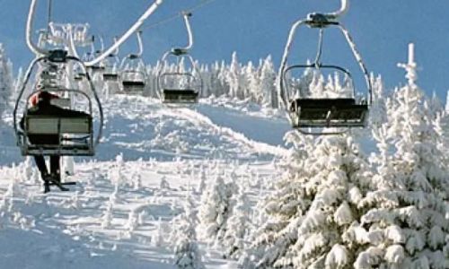 Domek na Górce- całoroczny - Stronie Śląskie