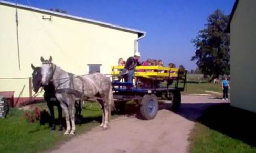 Gospodarstwo Agroturystyczne  z Hodowlą Koni  w Makowicy Makowica