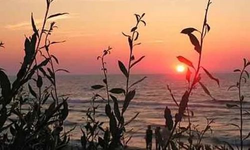 Ośrodek Wypoczynkowy MORSKI Międzywodzie