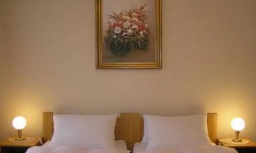 Hotel Adler Swarzędz