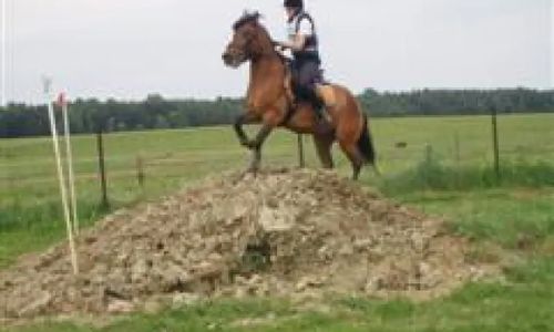 Rancho huculskie Pcim