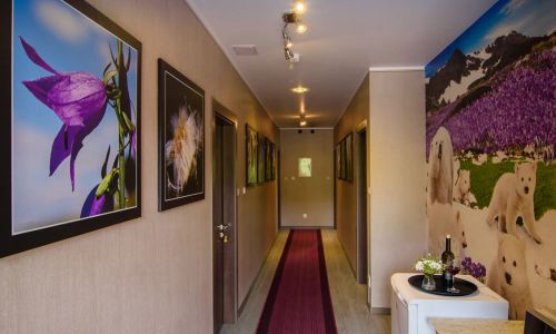 Gospodarstwo Agroturystyczne KOSZAŁKOWO Szymbark