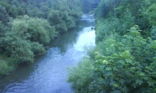 Dom Pod Modrzewiem Osiecznica