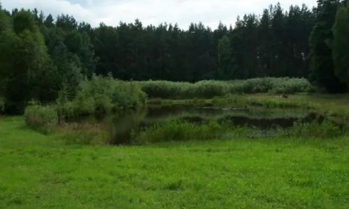 Pensjonat w Olsztynie Olsztyn