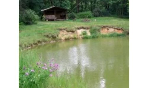 Agroturystyka Gzinianka Dąbrowa Chełmińska