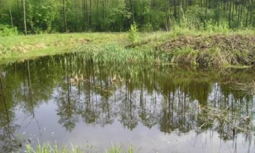 Gospodarstwo Agroturystyczne U Waldka Ostromęczyn