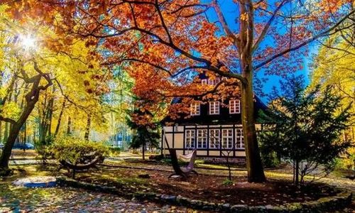 Smolarnia Hotel & Restaurant - Trzcianka