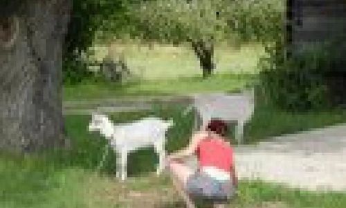 EKOTURYSTYKA W RAJU Sarnaki