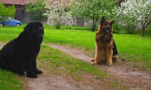 Zaciszna Chatka. Marksewo