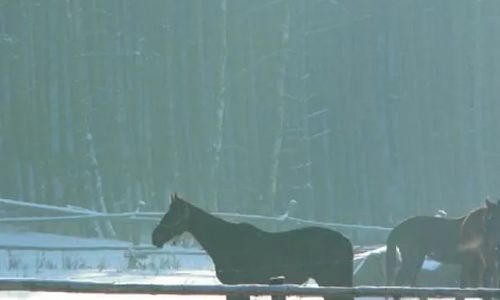 Przystanek Komorze - Łubowo