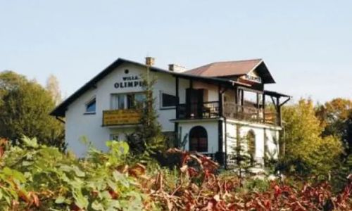 WILLA OLIMPIA  w  CENTRUM Nałęczowa Nałęczów