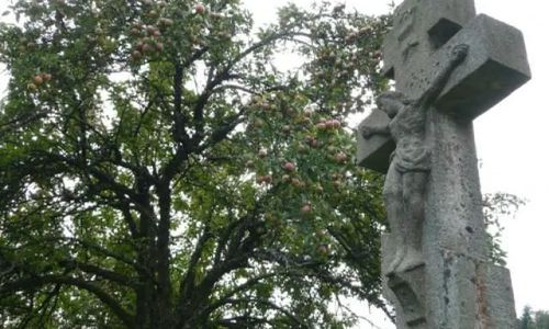 Gospodarstwo Agroturystyczne Mela i Adam  Smerekowiec