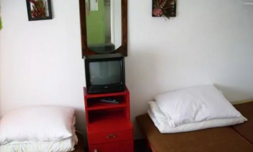 Gospodarstwo Agroturystyczne - Rybina