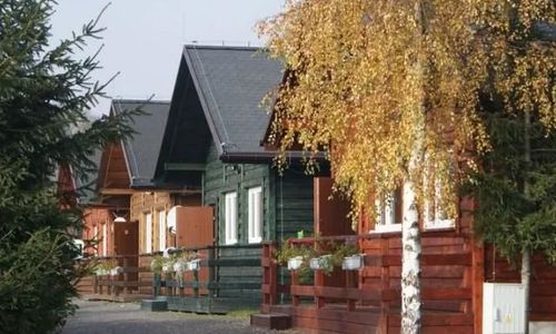Stanica pod Zadzierną. Paprotki