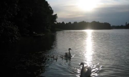 Miłuki - dom letniskowy Miłuki