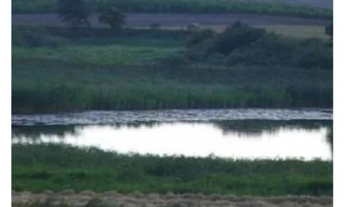 GOSPODARSTWO AGROTURYSTYCZNE TOPOLA Dźwierszno Wielkie