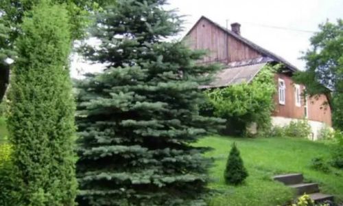 Gospodarstwo agroturystyczne  Oleńka Chyrowa