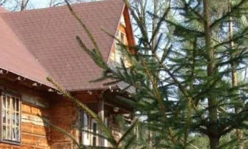 Chata Kasi - Sękowa