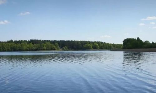 Dom do wynajęcia. Pasym