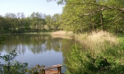 AMUREK domki letniskowe Lubniewice