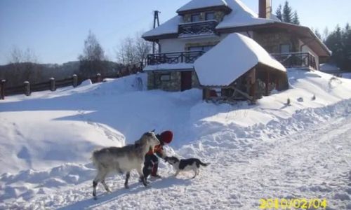 Gospodarstwo Agroturystyczne Filipówka na Podlesiu Uniszowa