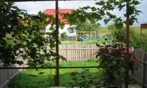 Domek letniskowy w Zarzeczu Zarzecze