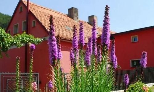 Noclegi U JANINY Jugowice