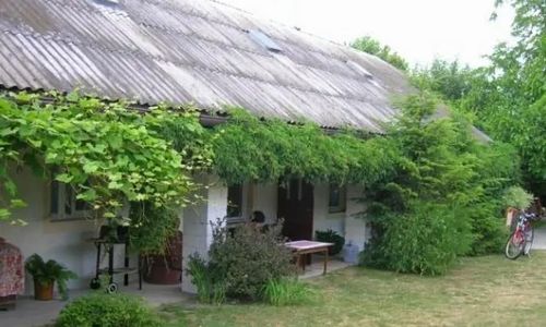 Dom drewniany w Dąbrówce Aleksandrów