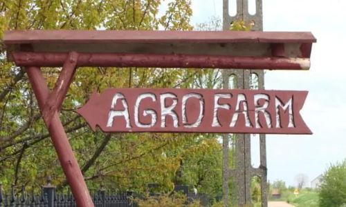 Gospodarstwo Agroturystyczne AGROFARM Sztutowo