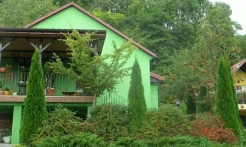 Zielony Resort. Koszyce