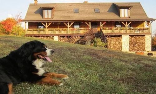 Pensjonat Podlesice Kroczyce 